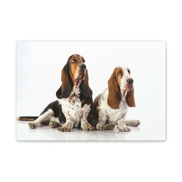 Basset Hound Couple Basset Hound Troop Print Animal Wall Art Wildlife Canvas Pri